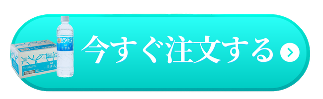 今すぐ注文する