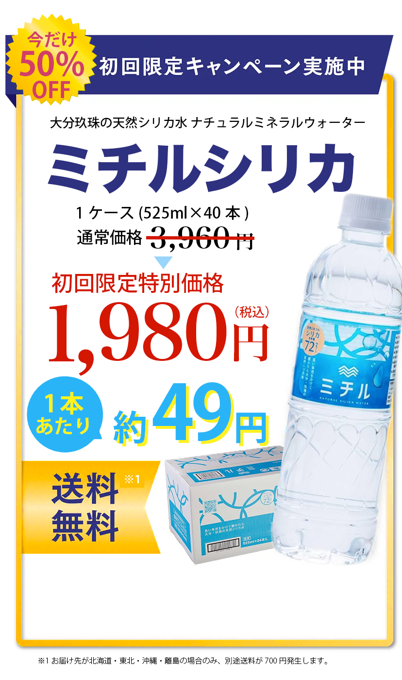 初回半額キャンペーン