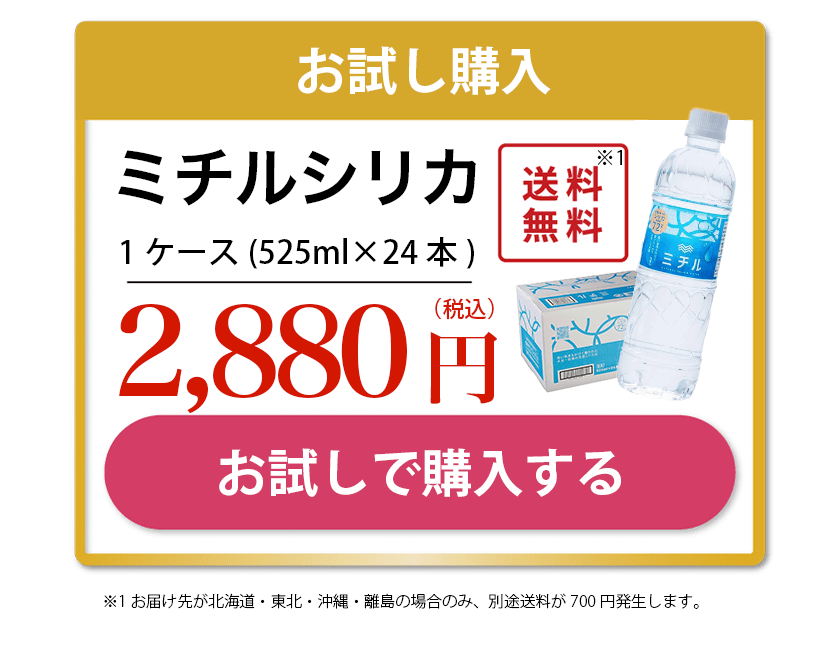 お試し購入(24本)